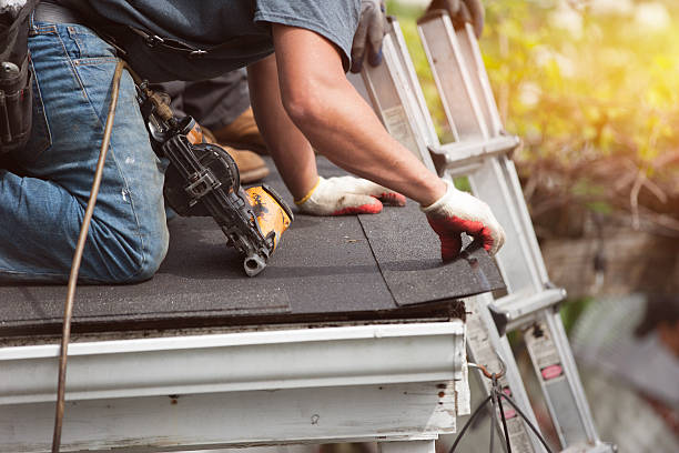 Best Storm Damage Roof Repair  in Mount Vernon, IA